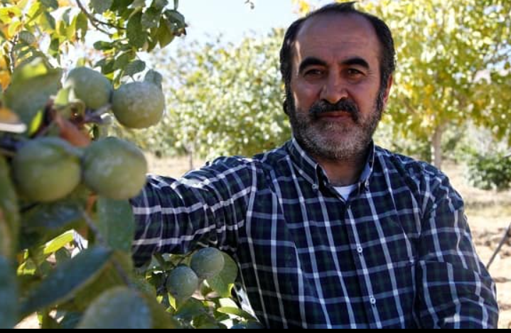 Prof. Dr. Mehmet SÜTYEMEZ