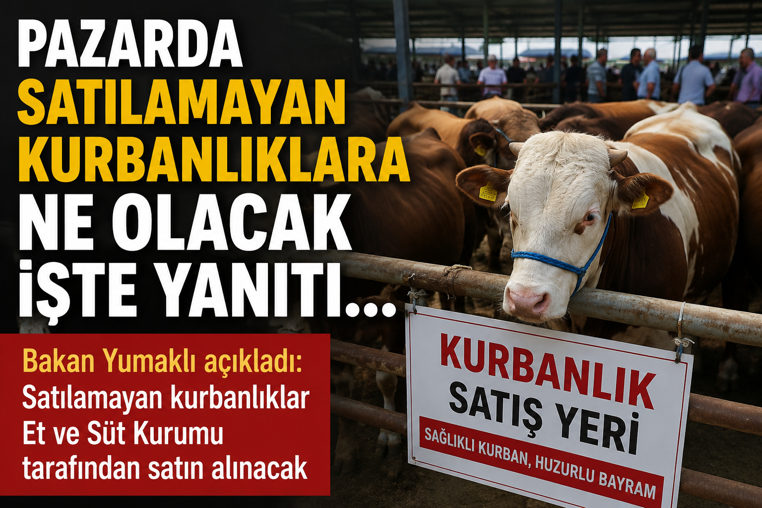 PAZARDA SATILAMAYAN KURBANLIKLARA NE OLACAK İŞTE YANITI