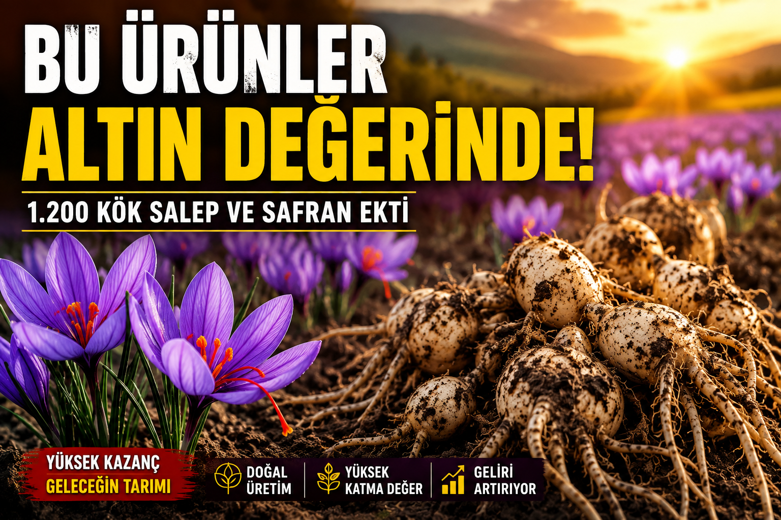 BU ÜRÜNLER ALTIN DEĞERİNDE!