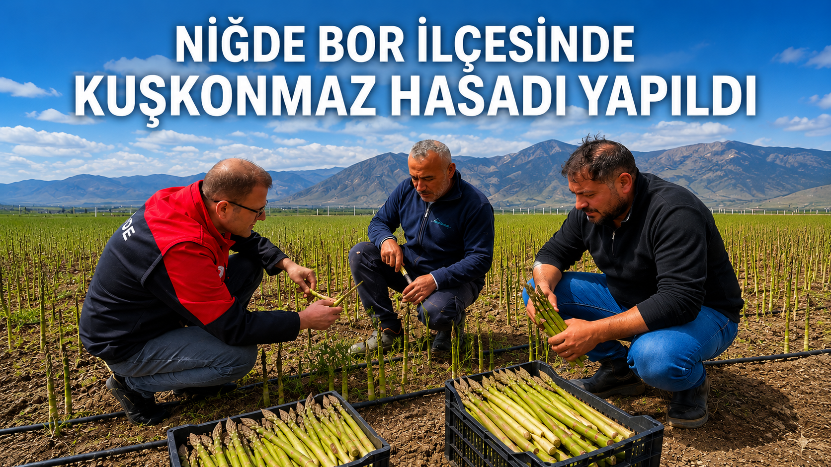 BOR’DA GELİRİ YÜKSEK ÜRÜNDE HASAT HEYECANI