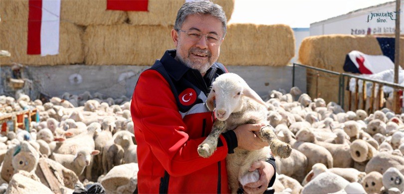 DEV PROJE BAŞLADI:100 BAŞ HAYVAN+180 BİN LİRA DESTEK