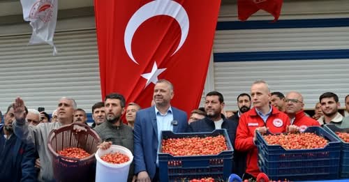 KUZEY YARIM KÜRENİN AÇIK ALANLARDAKİ İLK KİRAZ HASADI MANİSADA GERÇEKLEŞTİRİLDİ