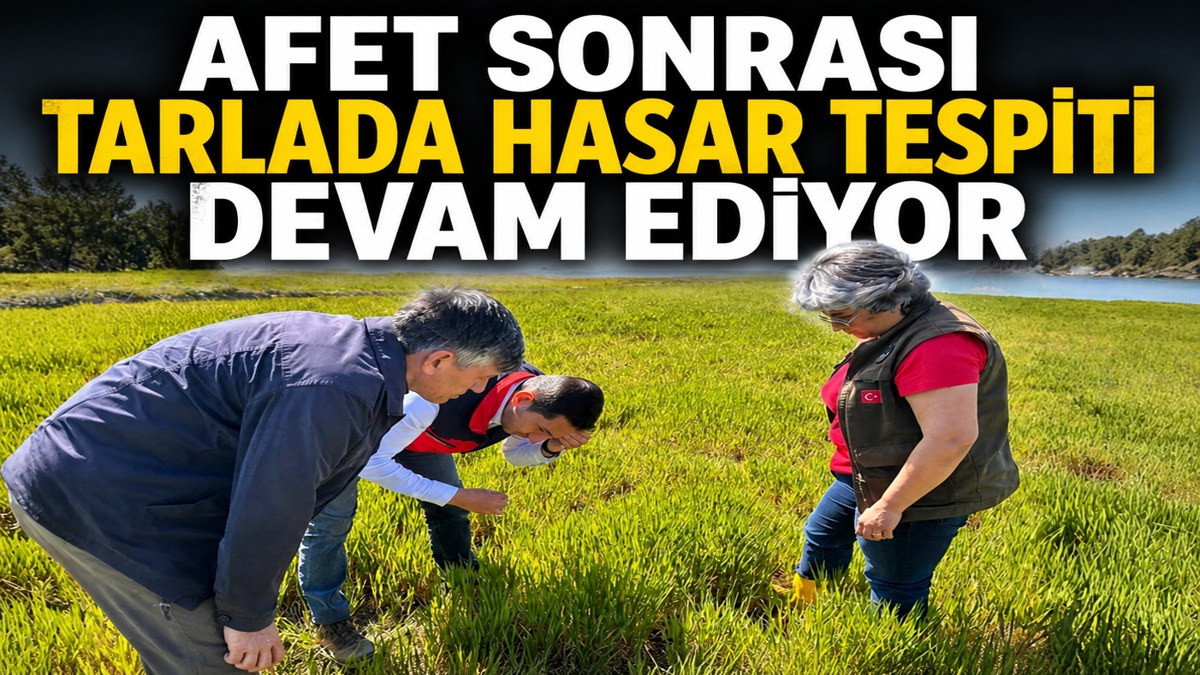 DEVLET SAHADA