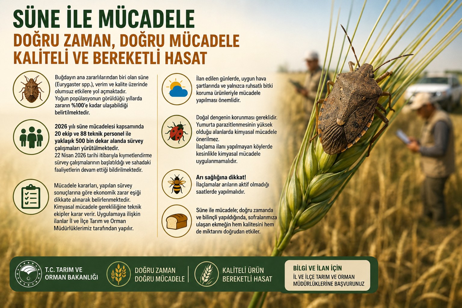ÇİFTÇİLERE SÜNE UYARISI:  Doğal Denge Korunmalı