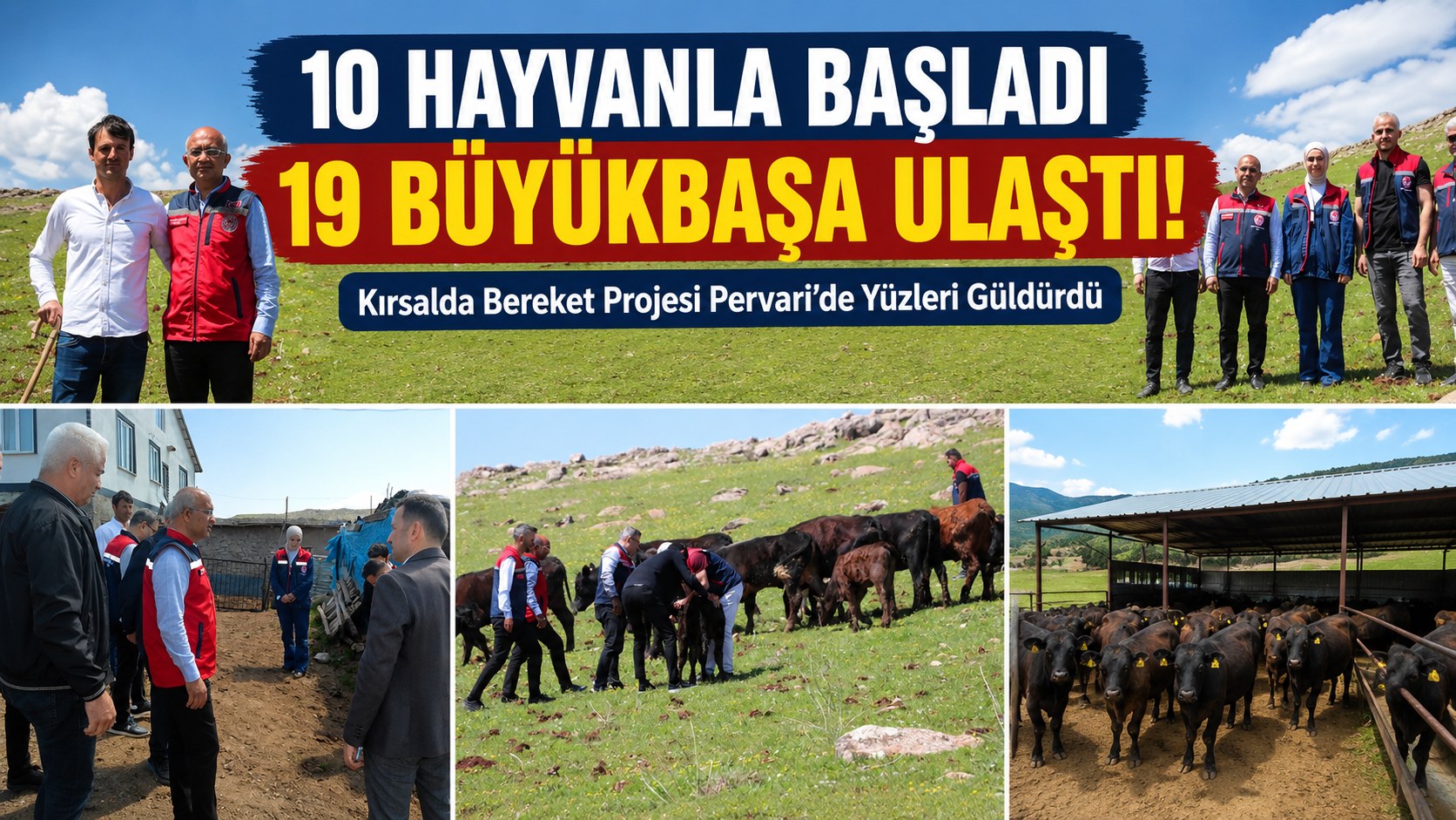 10 HAYVANLA BAŞLADI 19 BÜYÜKBAŞA ULAŞTI