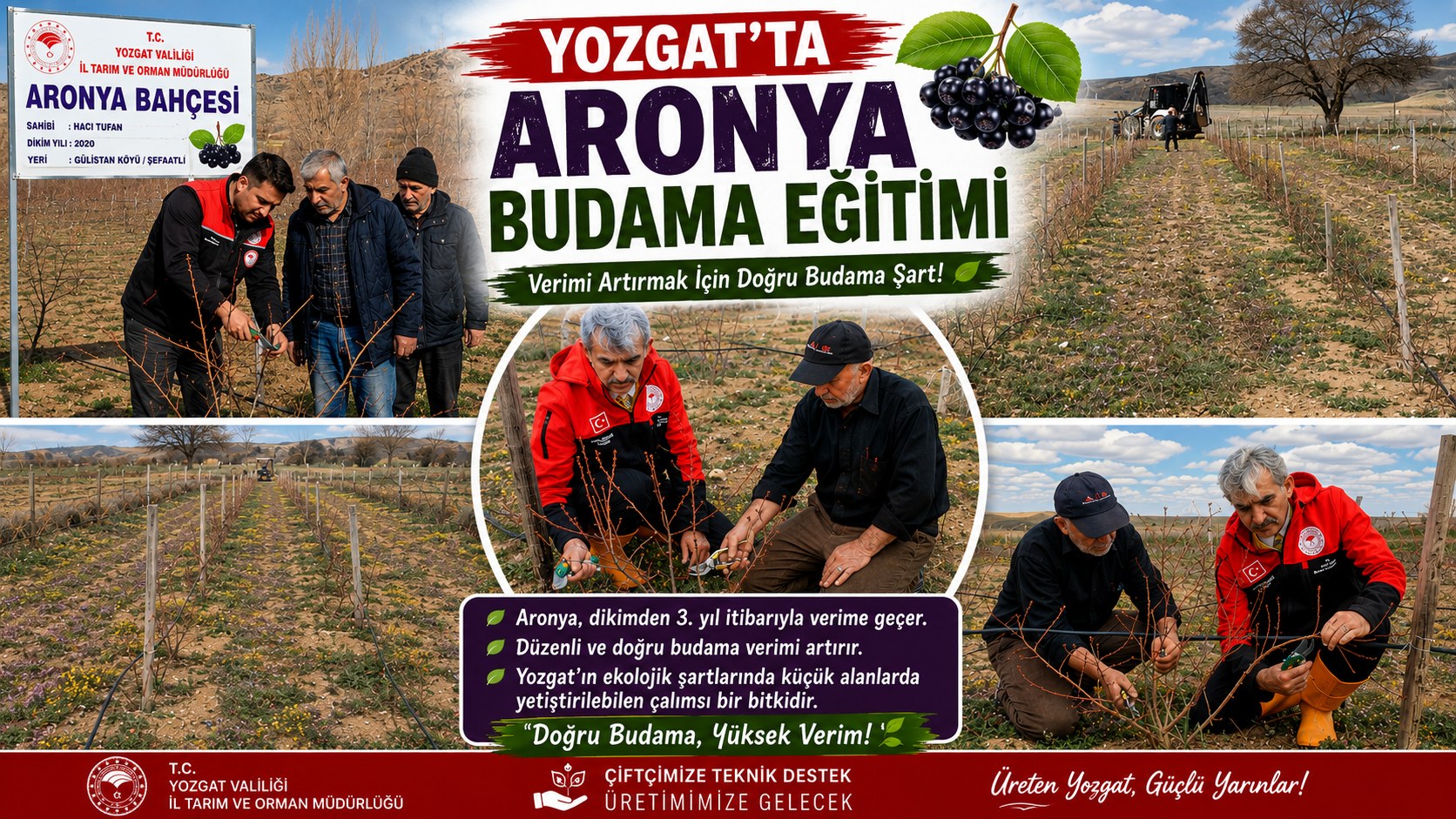 YOZGAT’TA ARONYA BUDAMA EĞİTİMİ DÜZENLENDİ