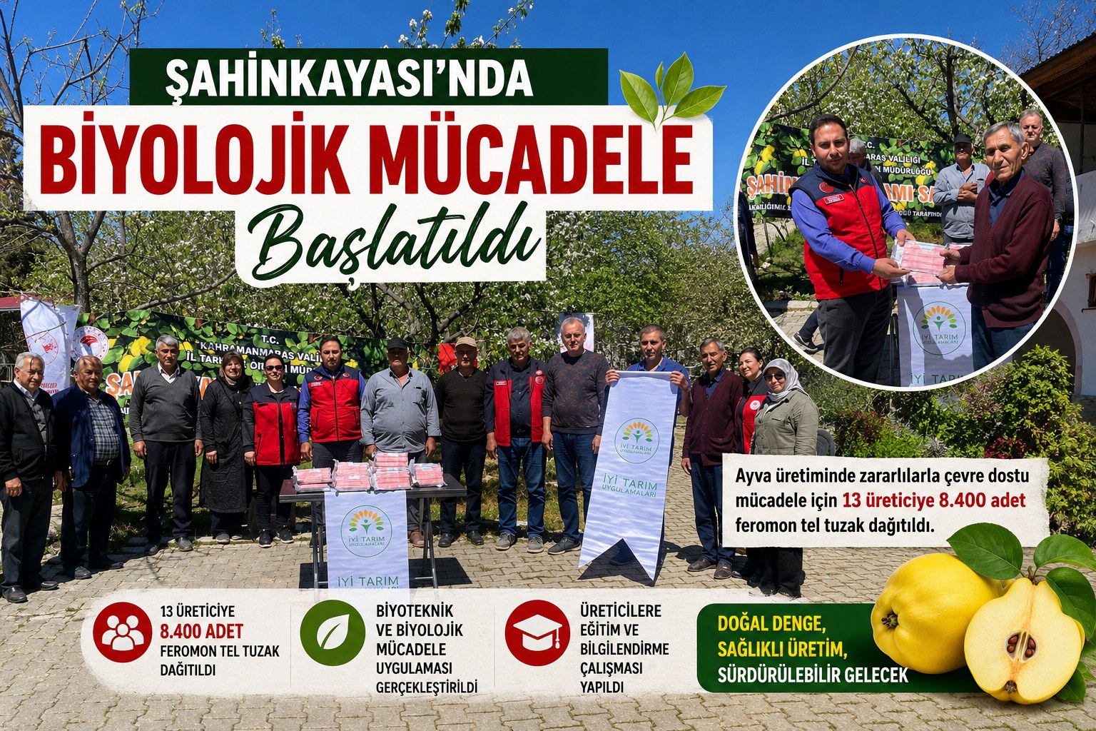 ŞAHİN KAYASINDA BİYOLOJİK MÜCADELE BAŞLATILDI