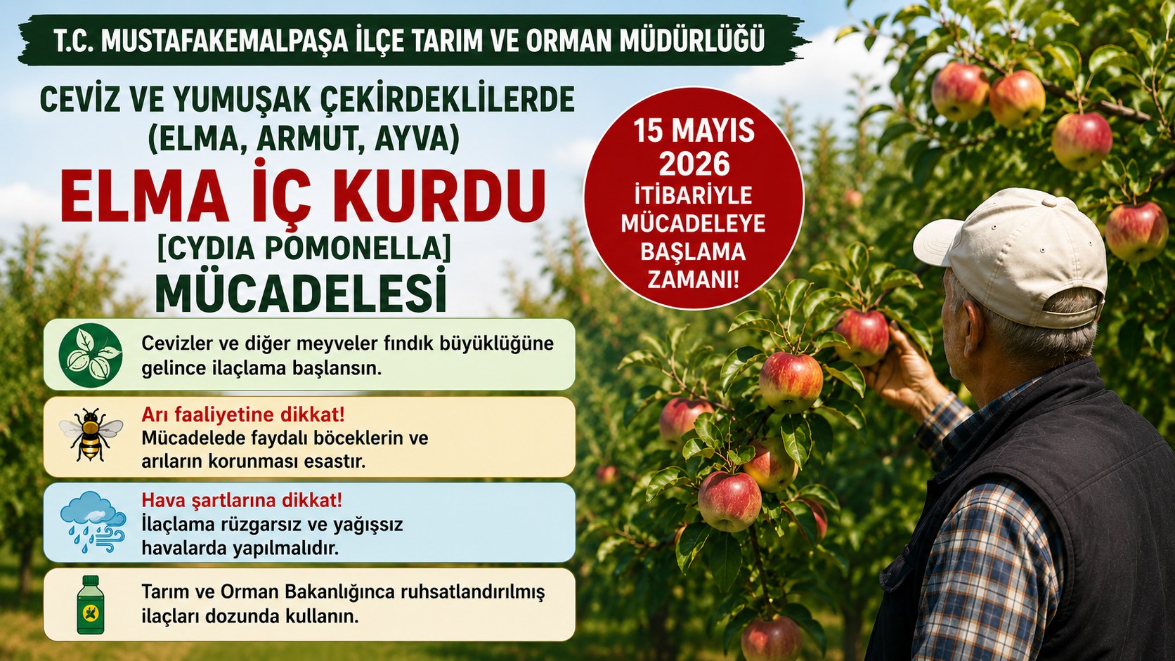 BURSA MUSTAFAKEMALPAŞA’DA ELMA İÇ KURDUNA KARŞI MÜCADELE UYARISI