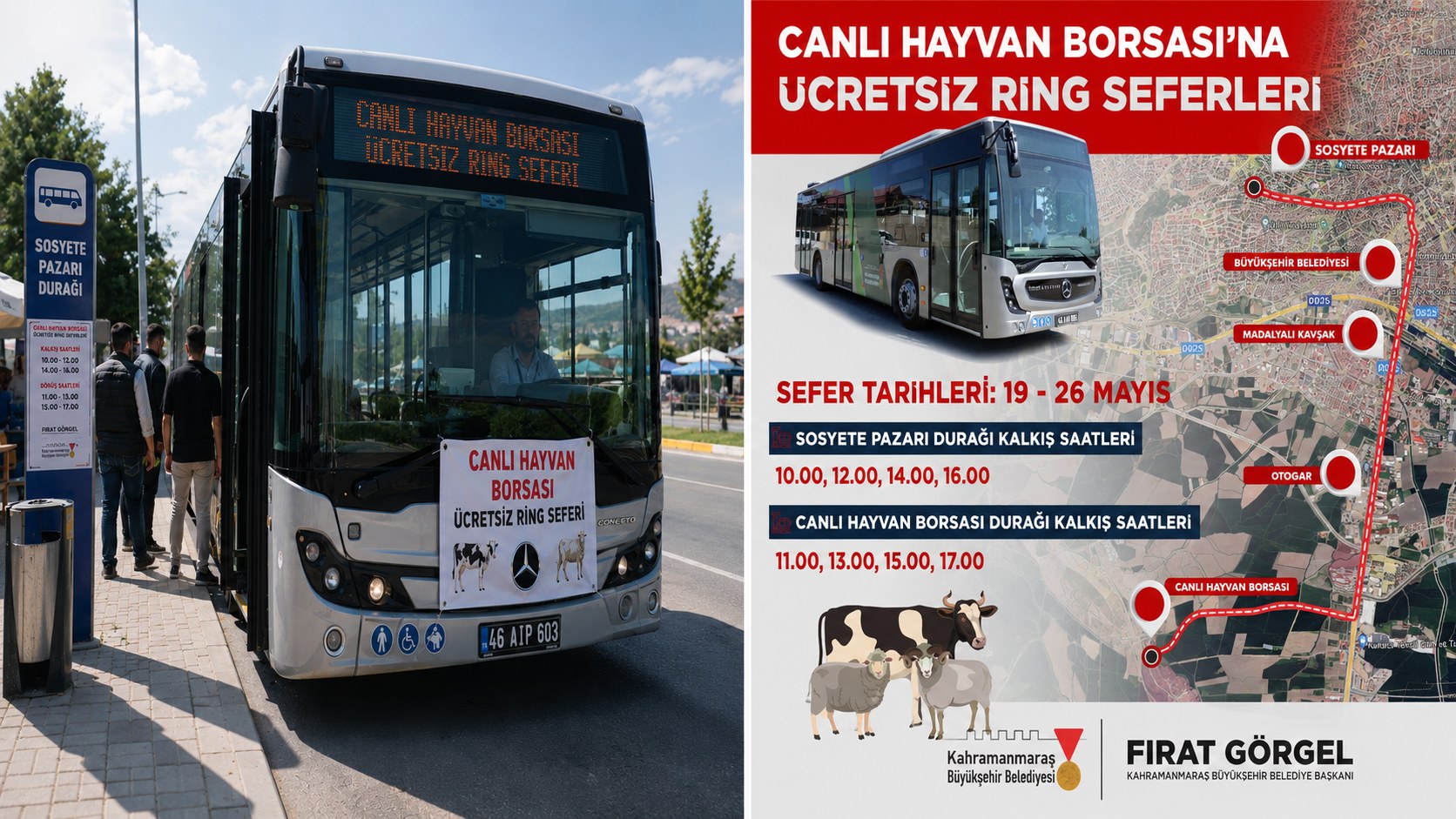 CANLI HAYVAN BORSASIN'A ÜCRETSİZ RİNK SEFERİ BAŞLADI