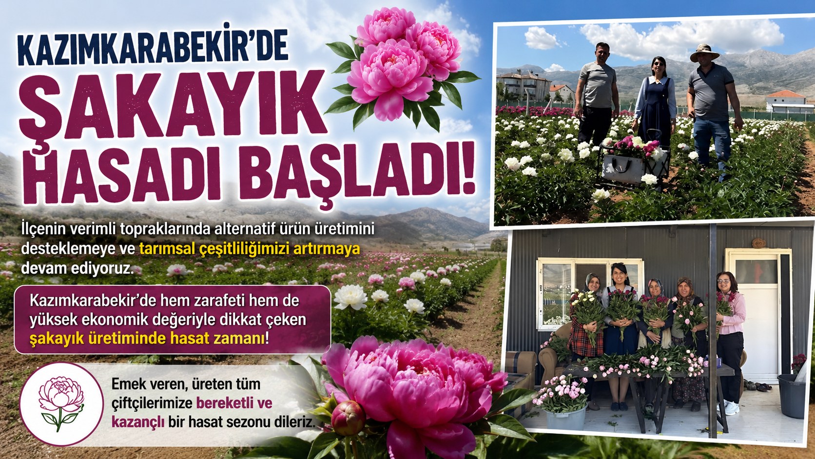 BU ÇİÇEĞİN DEĞERİNİ DUYAN ŞAŞIRIYOR