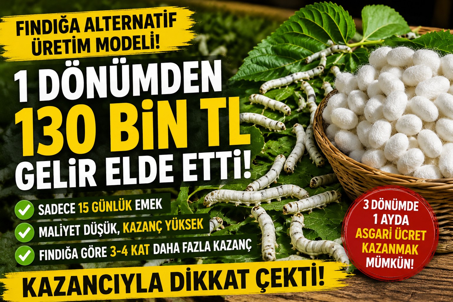 1 DÖNÜMDE 130 BİN TL NASIL KAZANDI?