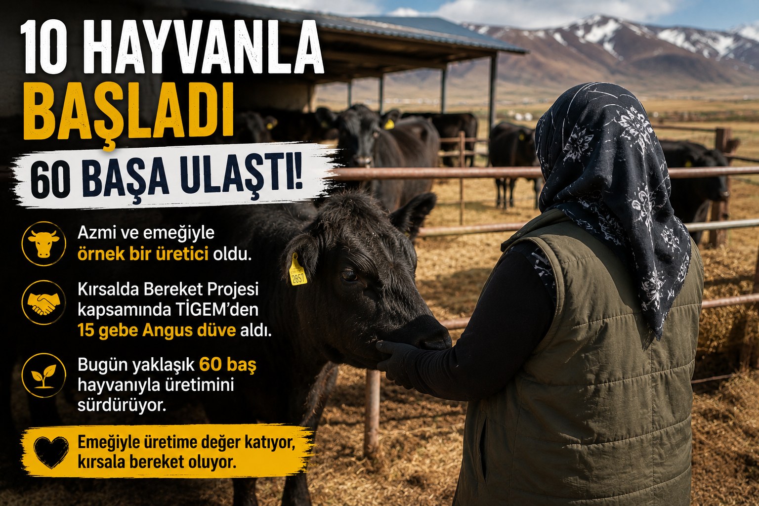 10 HAYVANLA BAŞLADI, 60 BAŞA ULAŞTI