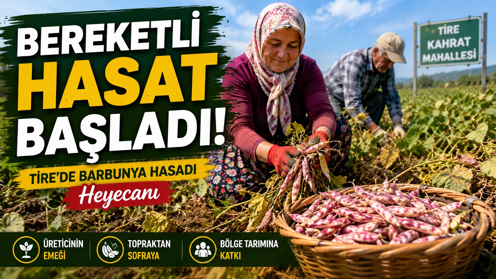 TARLALARDA BARBUNYA HEYECANI!