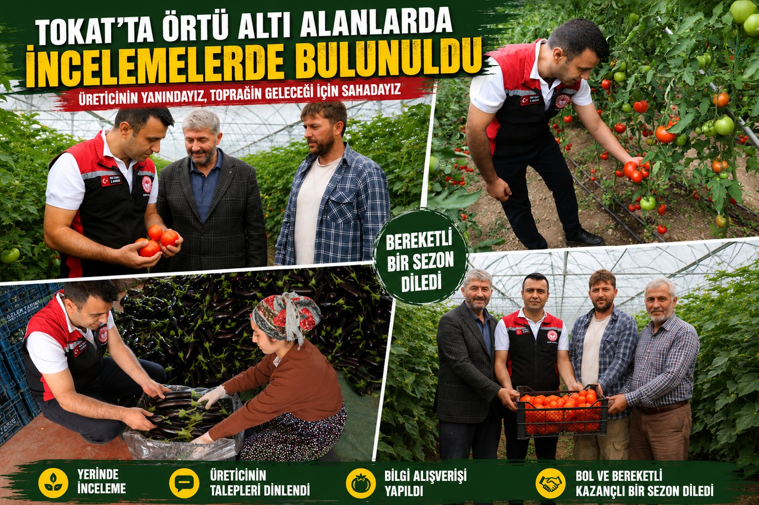 TOKAT'TA ÖRTÜ ALTI ÜRETİM ALANLARI YERİNDE İNCELENDİ