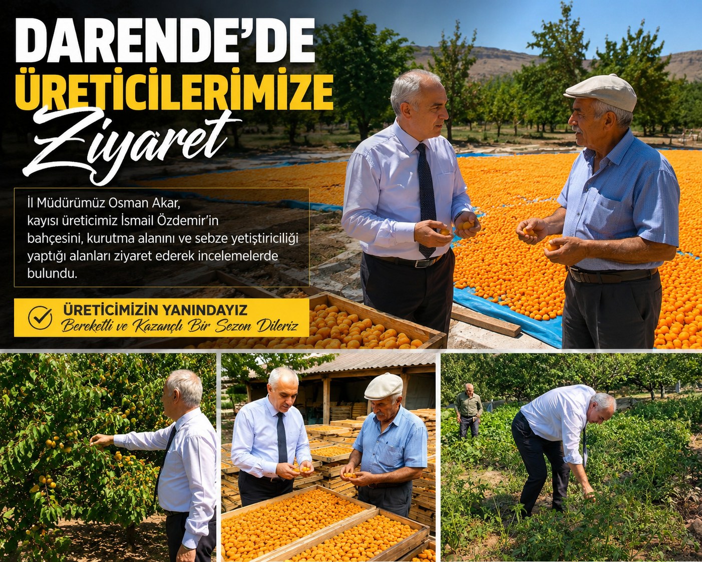 DARENDE'DE KAYISI ÜRETİCİLERİNE ZİYARET
