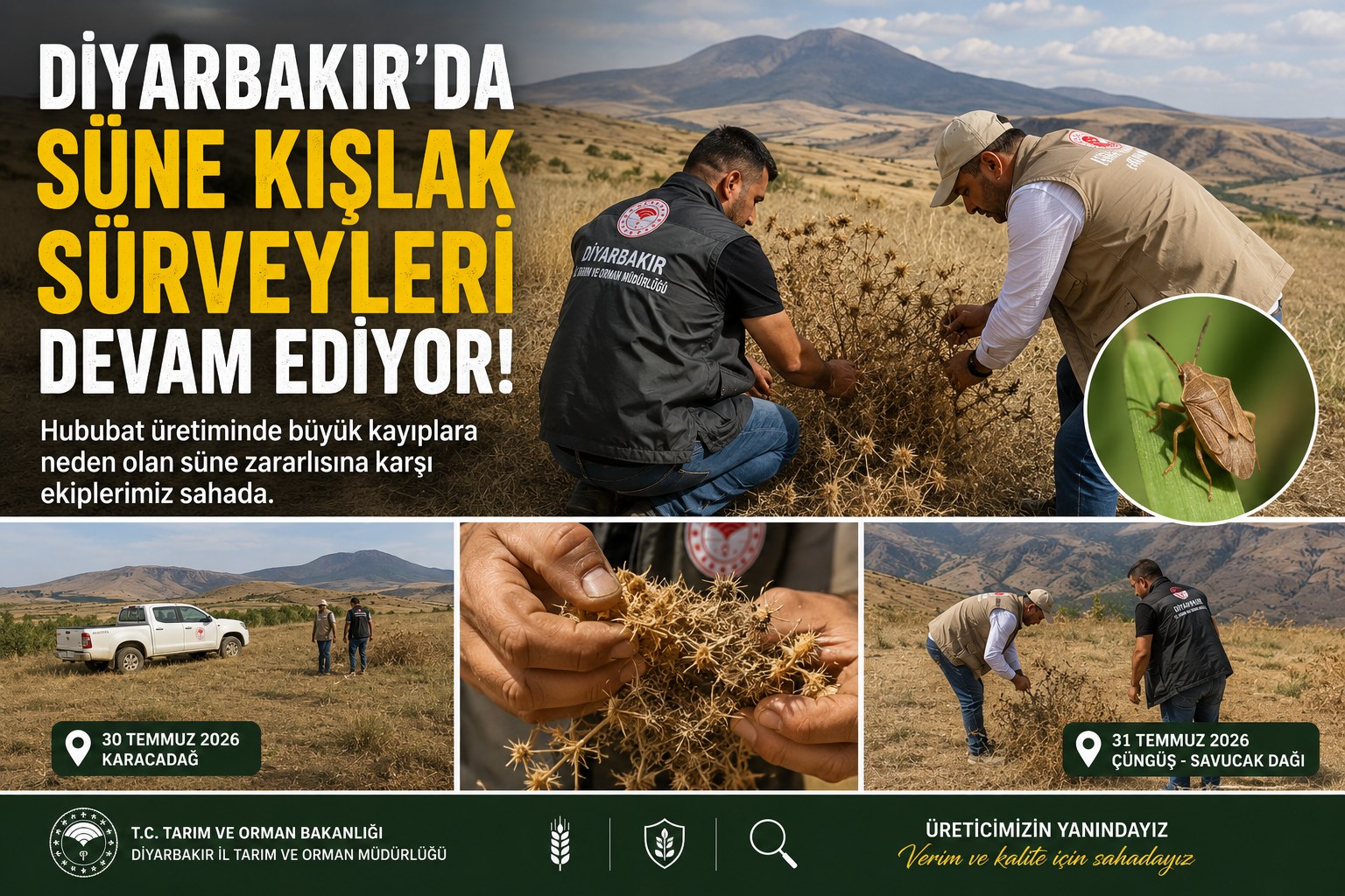 HUBUBATTA SÜNE ALARMI! EKİPLER SAHADA