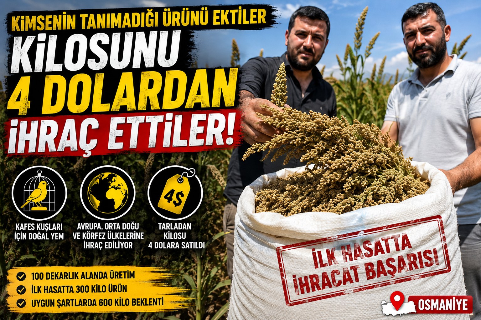 KİMSENİN EKMEDİĞİ ÜRÜN!