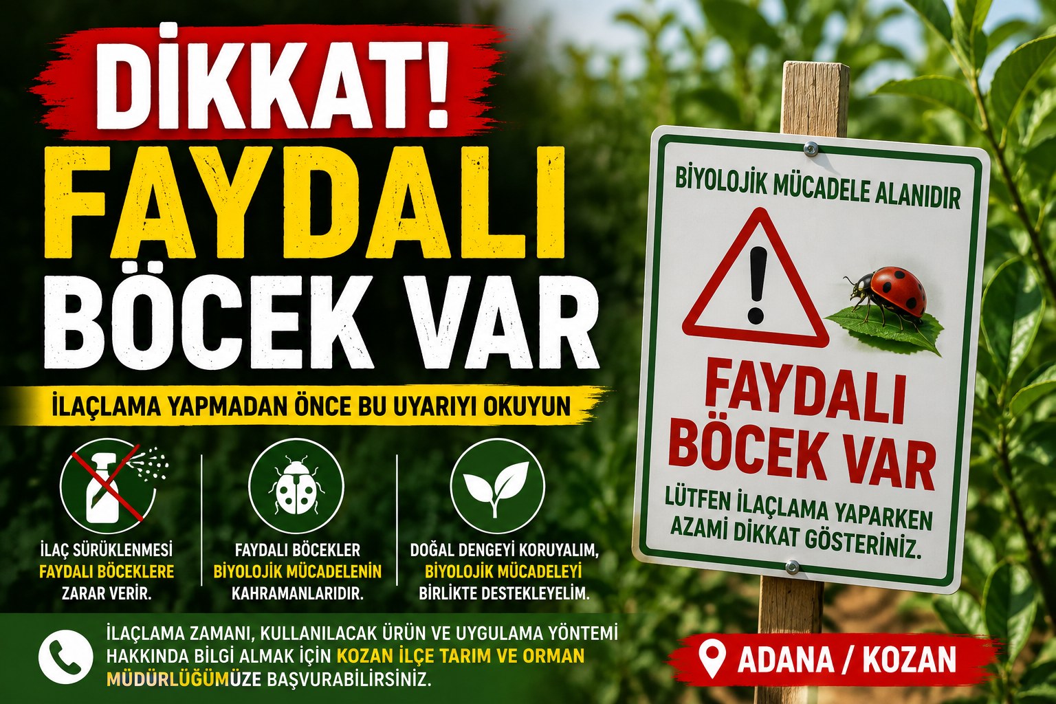 DİKKAT FAYDALI BÖCEK VAR!