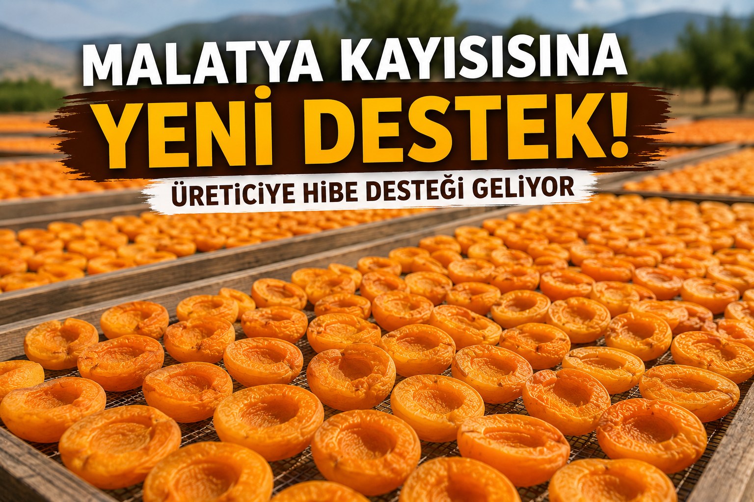 MALATYALI ÇİFTÇİLER DİKKAT! YENİ HİBE KAPISI AÇILDI