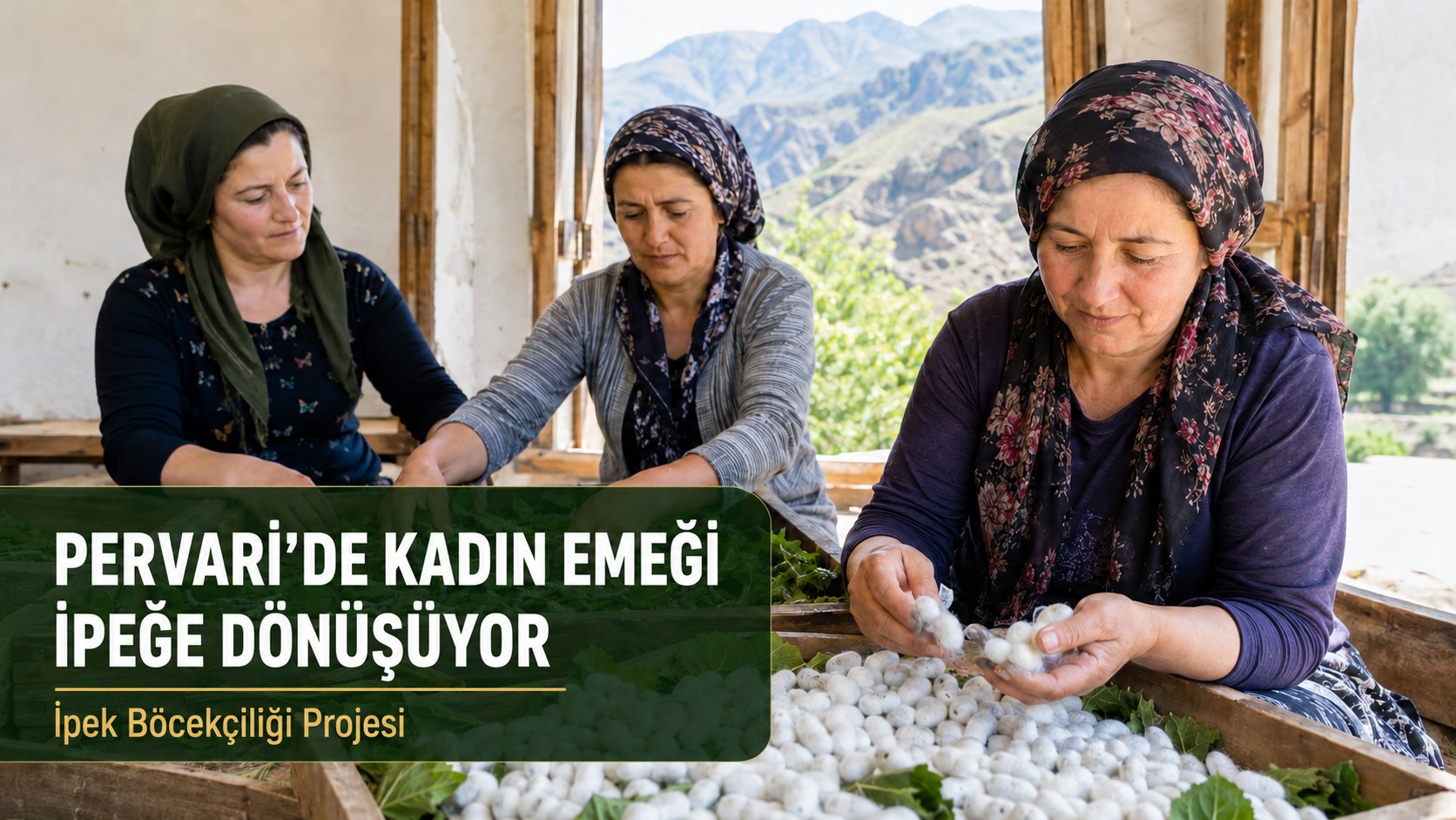 BU KOZALAR KADINLARA GELİR KAPISI OLACAK