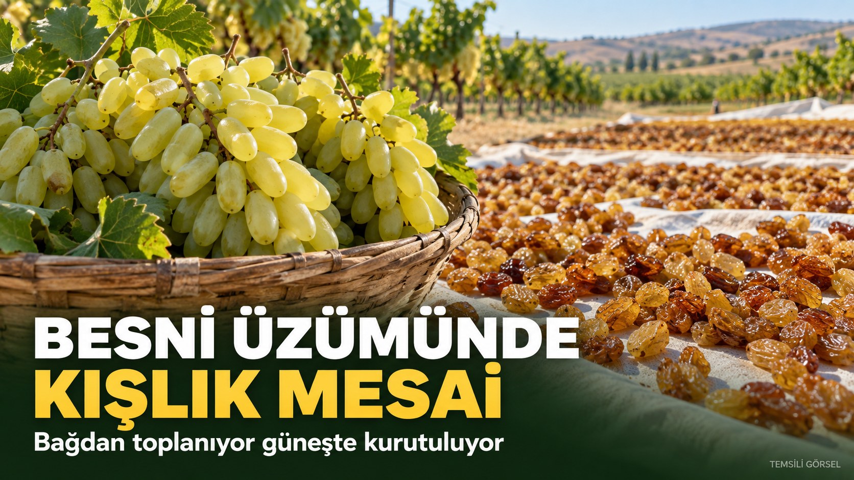 BESNİ ÜZÜMÜNDE KIŞLIK MESAİ