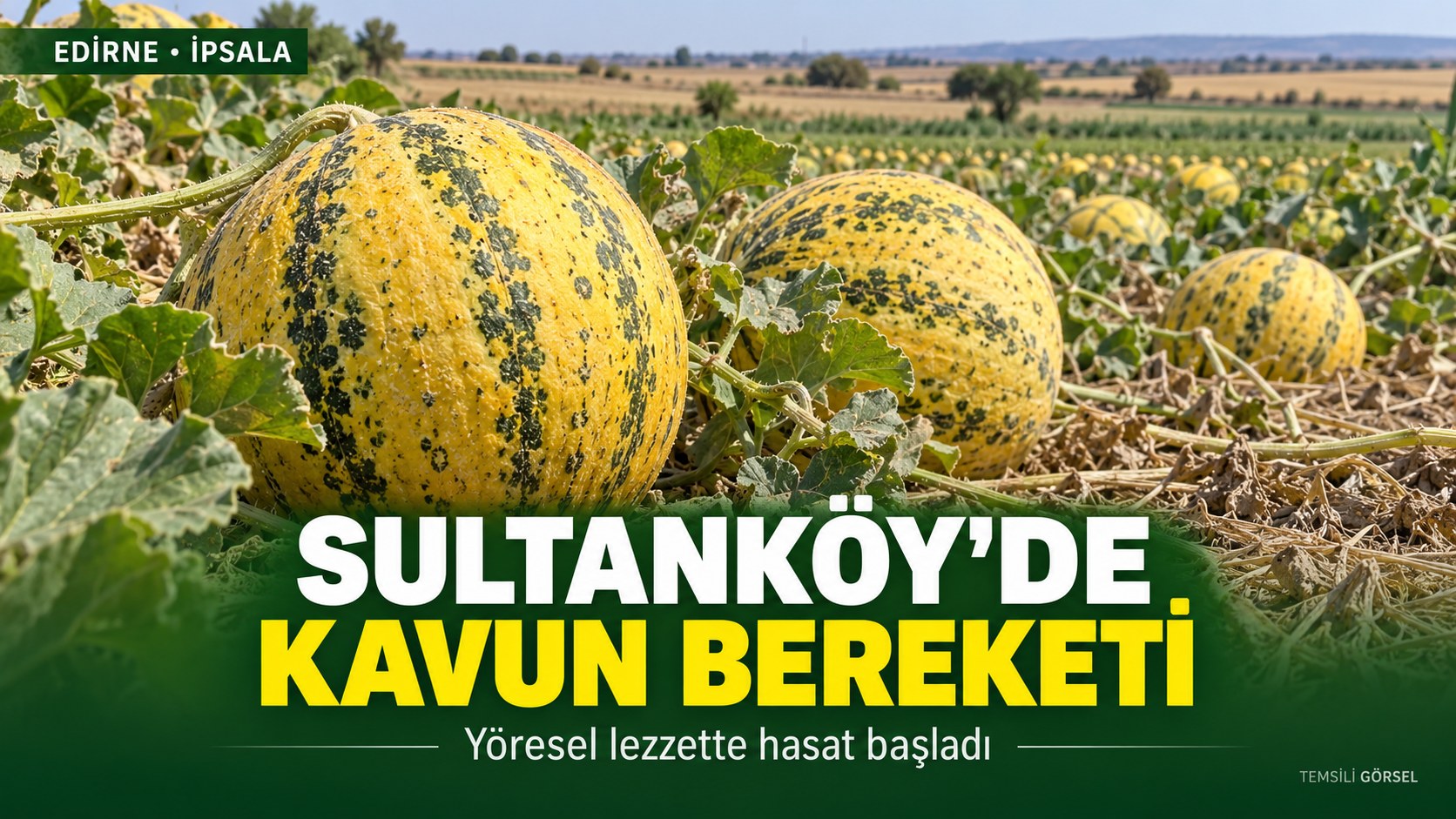 SULTANKÖY’DE KAVUN BEREKETİ