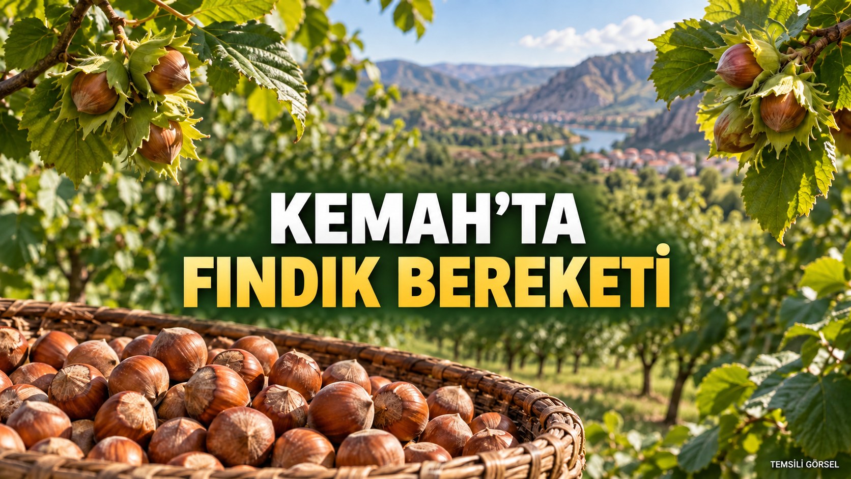 KEMAH’TA FINDIK BEREKETİ