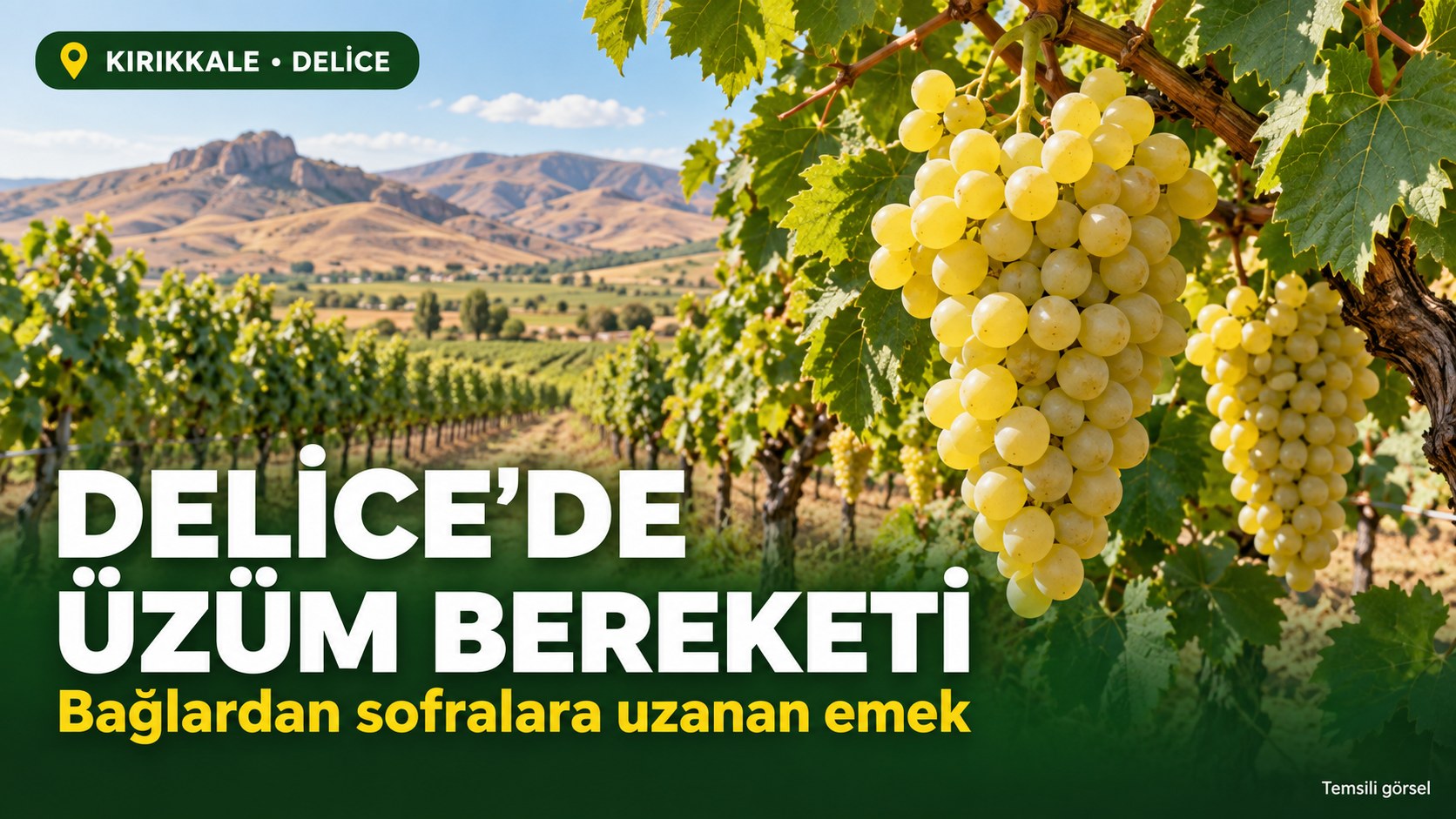 DELİCE’DE ÜZÜM BEREKETİ