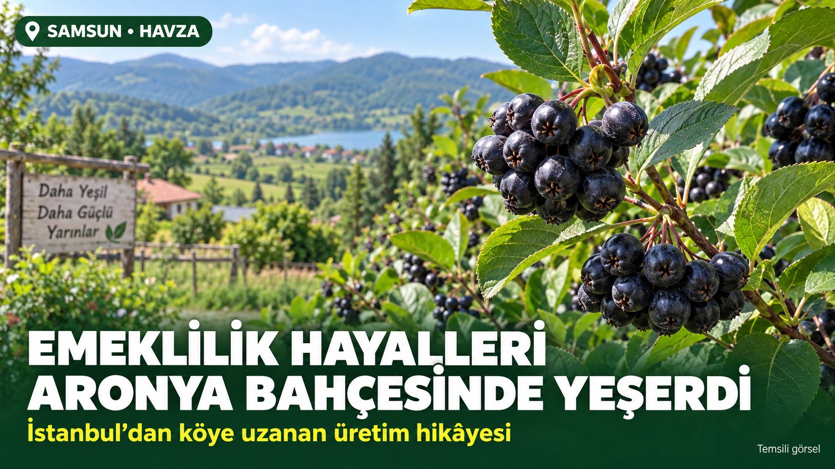 EMEKLİLİK HAYALLERİ ARONYA BAHÇESİNDE YEŞERDİ
