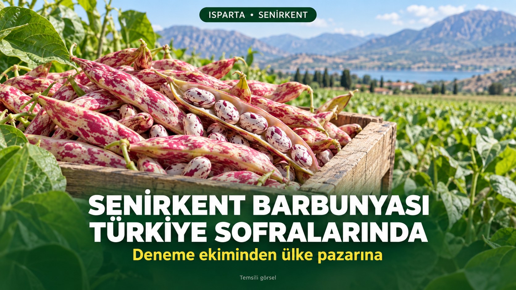 SENİRKENT BARBUNYASI TÜRKİYE SOFRALARINDA