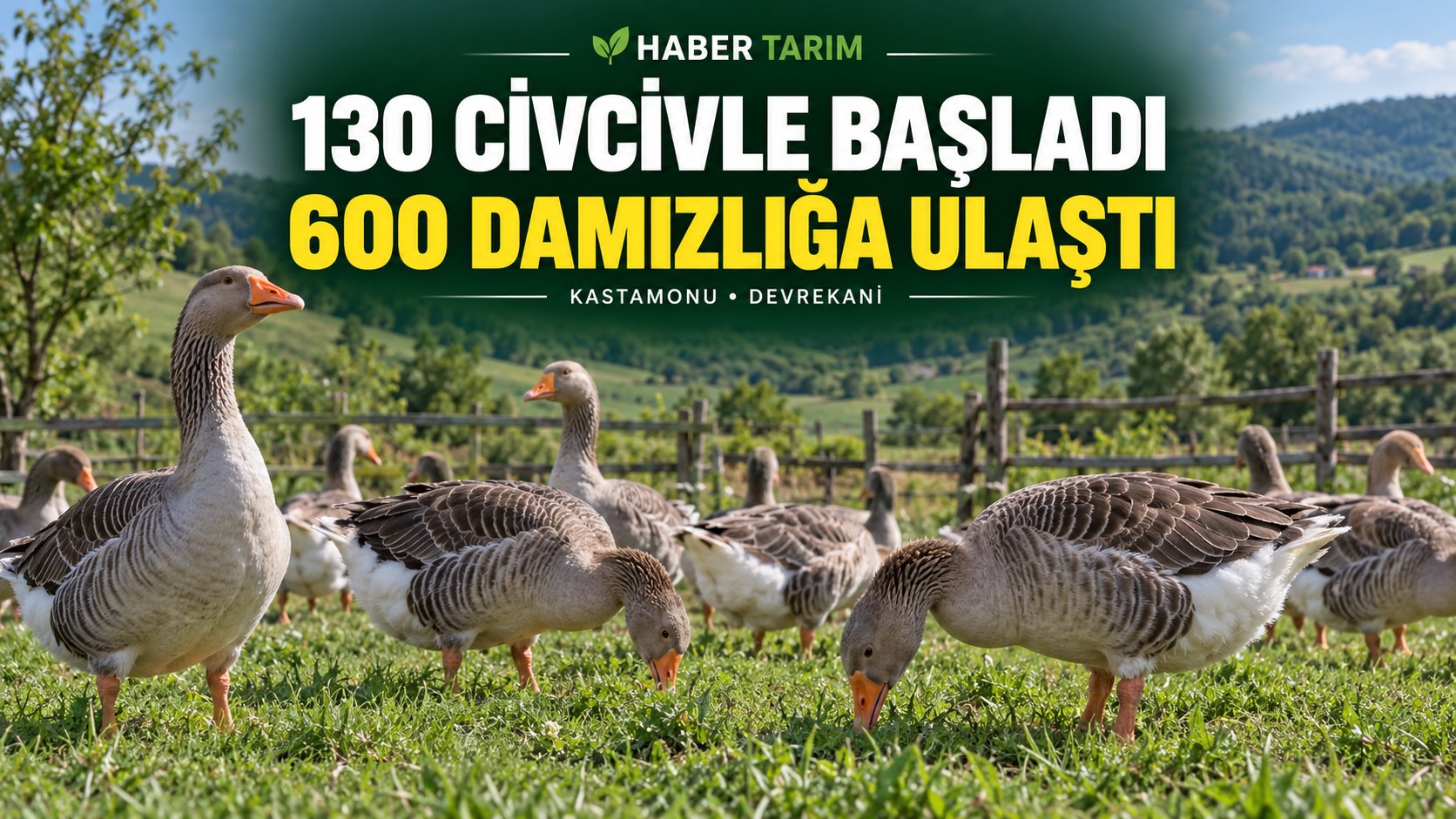 130 CİVCİVLE BAŞLADI 600 DAMIZLIĞA ULAŞTI