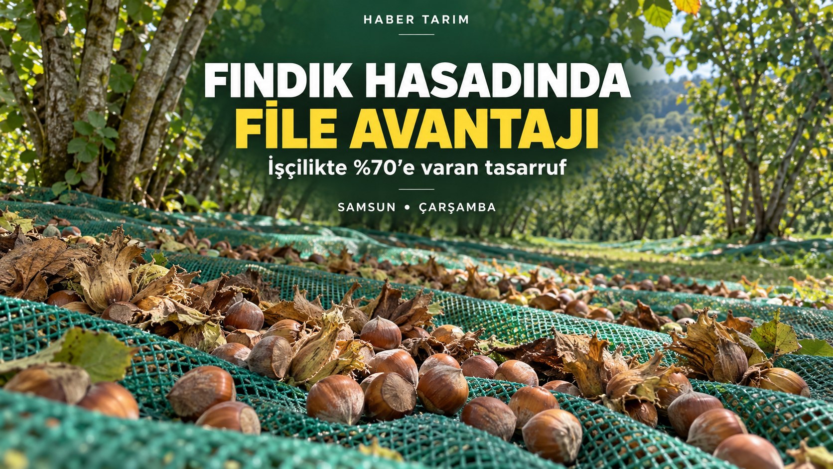 FINDIK HASADINDA FİLE AVANTAJI