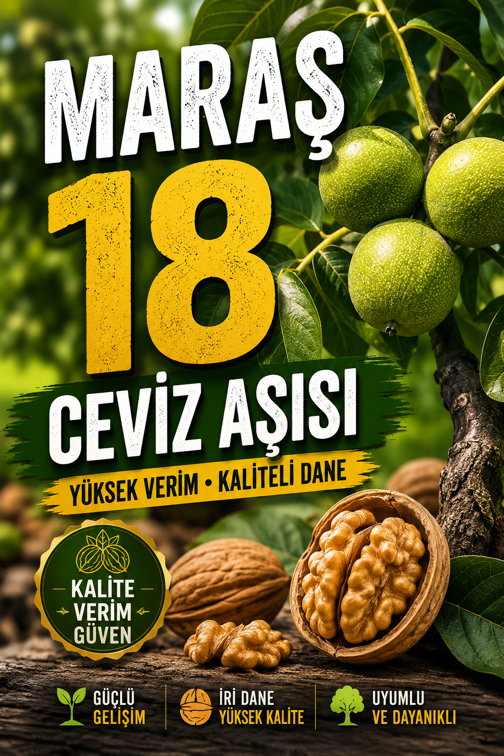 MARAŞ 18 AŞISI NASIL YAPILIR?